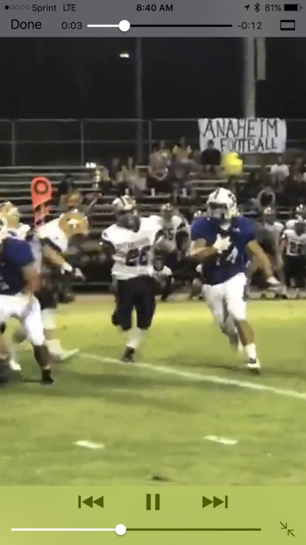 Touch down #44 
My Domino boy !