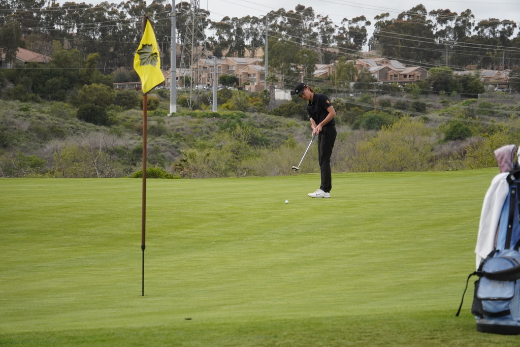 Harley putting on the green of hole 5.