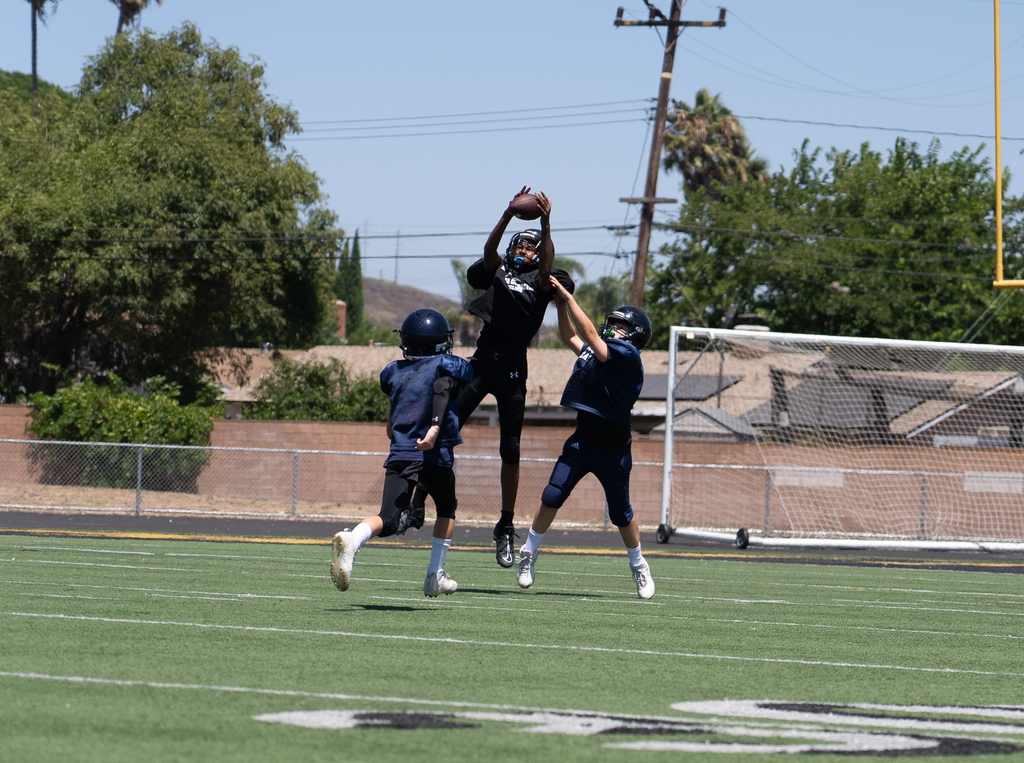 Go Grizz! (Juniors Jamboree)