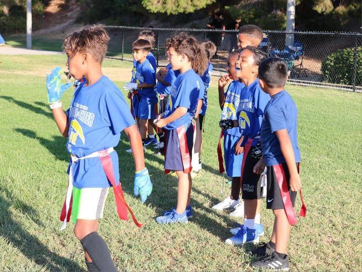 Sharks and Minnows