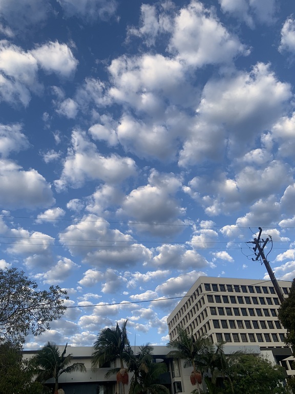 sky Today