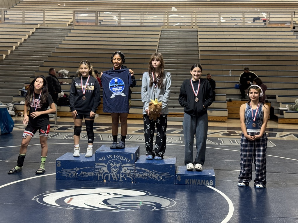 2nd Place