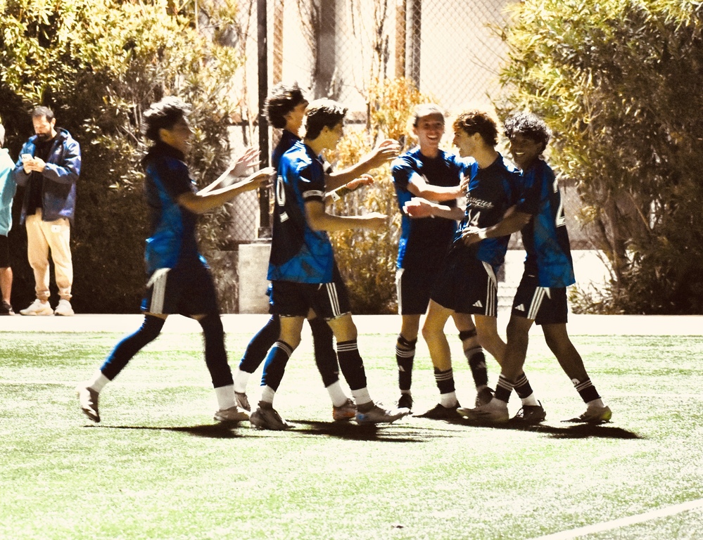 Goal celebration