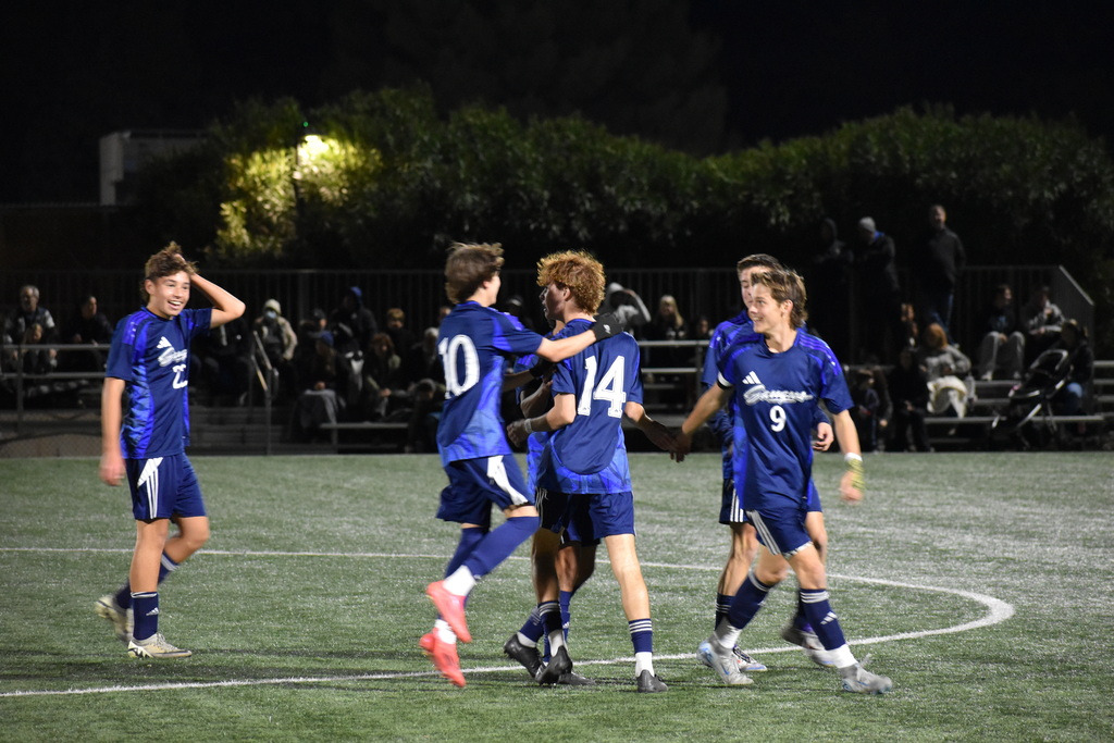 #14 Goal Celebration