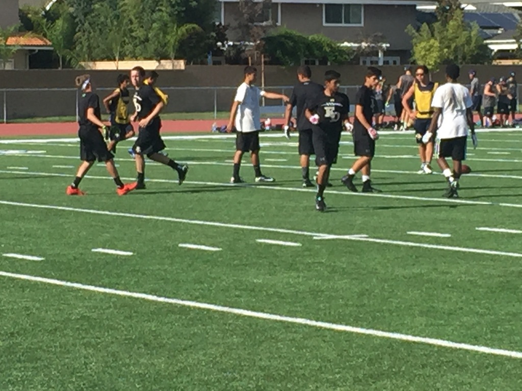 Hawks D takes the field