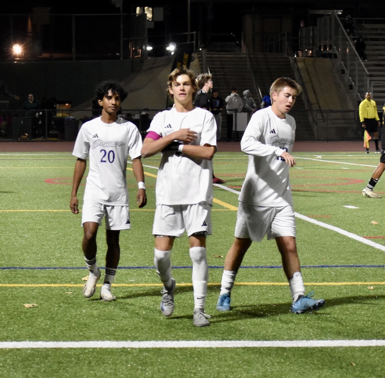 Goal celebration