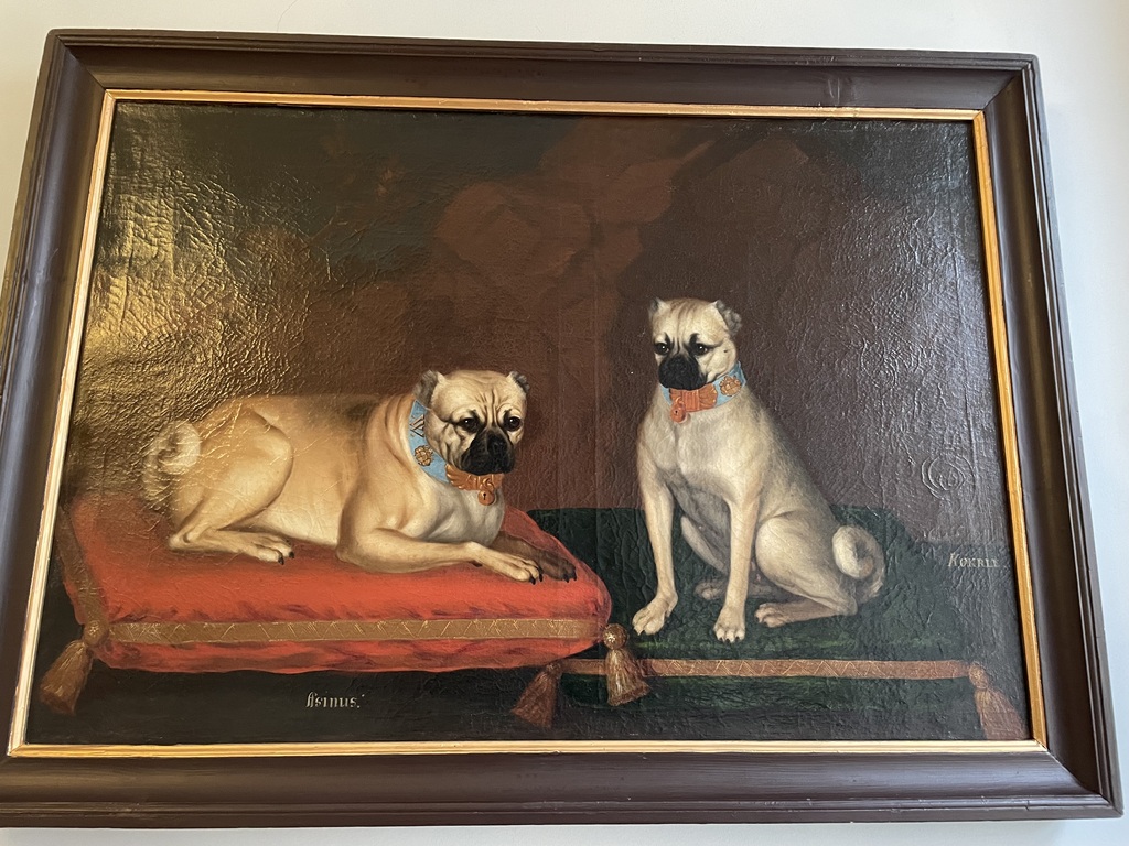 Cool dogs in museums !!