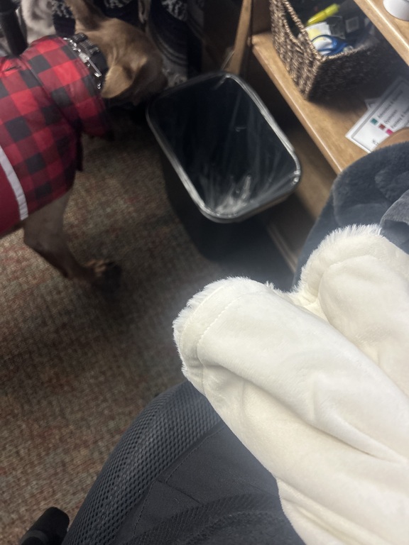 Behind the scenes in Logistics