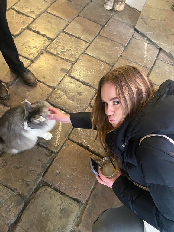 Czech kitties🐈