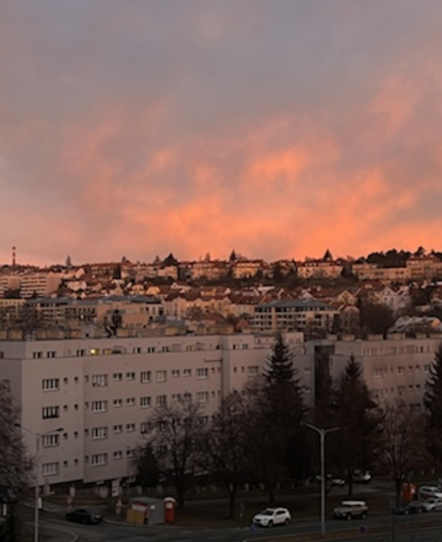 Vienna hotel room view