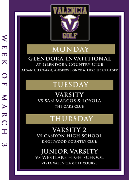 Go Vikes!!