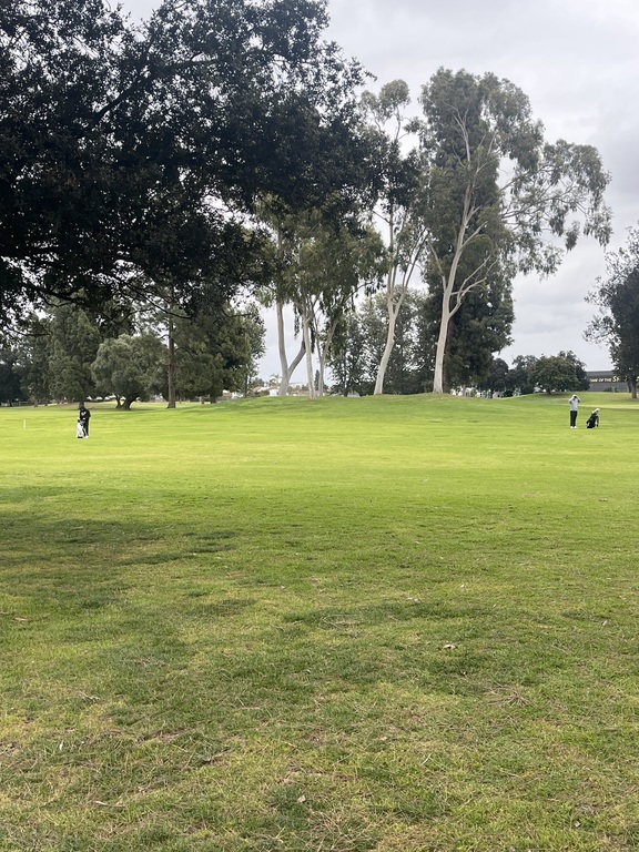 Who out drove who on this hole? 🤯