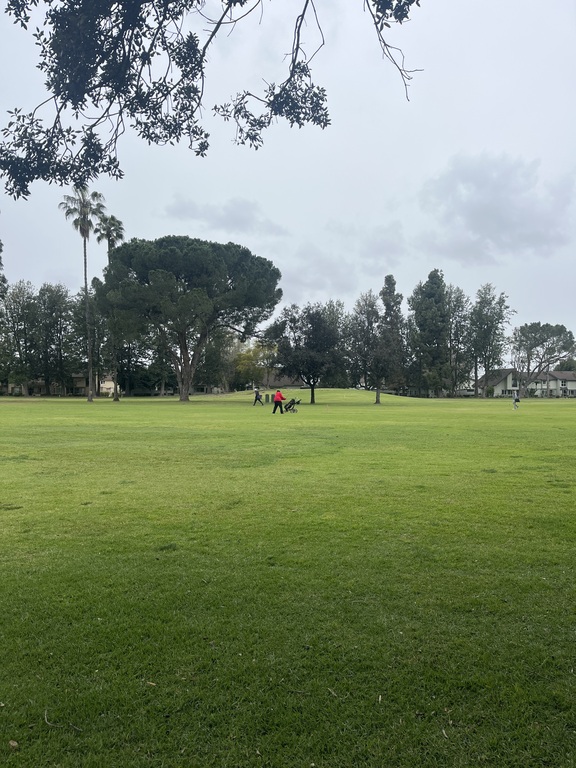 And just like that Adrian is on the green in 3!
