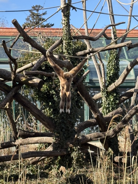 Schönbrunn Palace Zoo!!!!