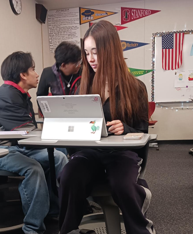 MUN classmates working hard on assignments