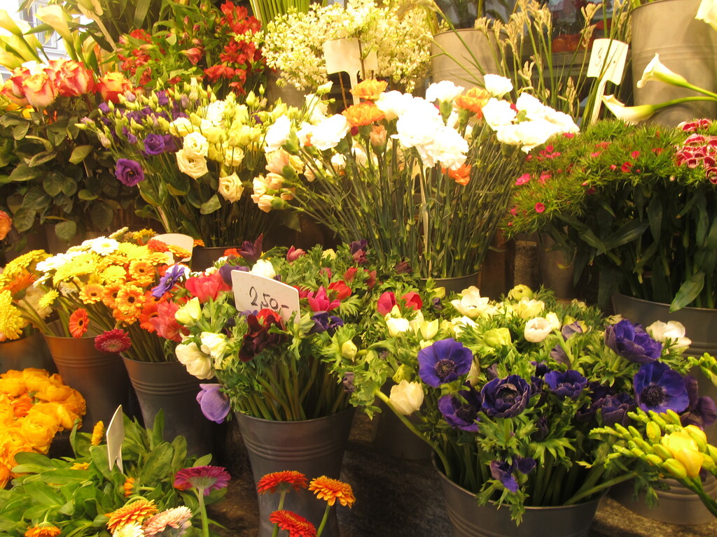 flower shop in Vienna !