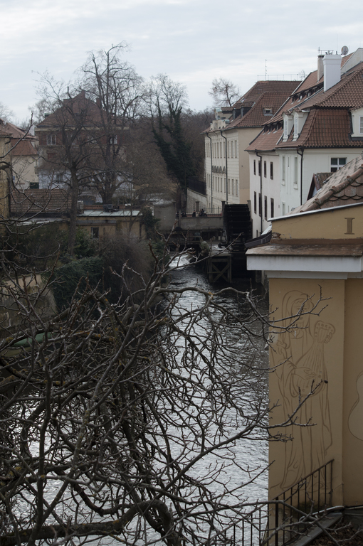Cute rivers in Vienna :)
