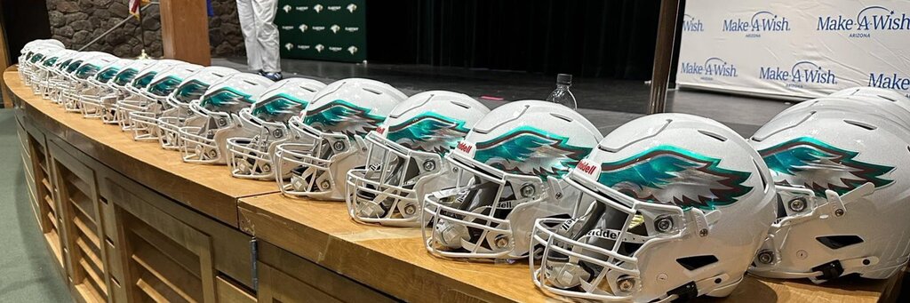 Fly Eagles Fly!