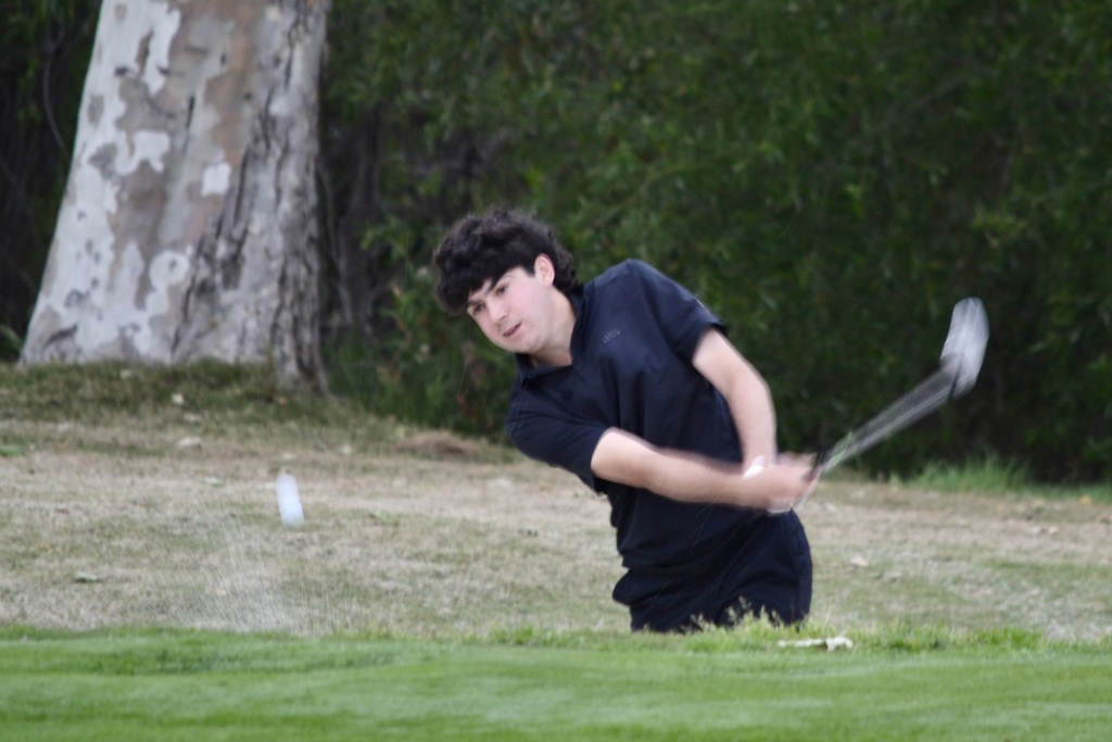 Great out by Gavin!