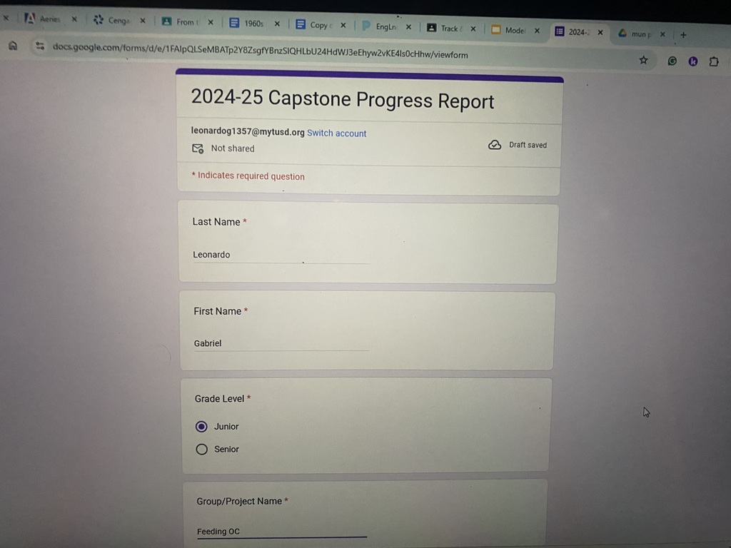 Working with my Capstone group
