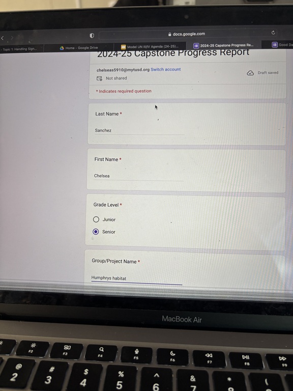 working on capstone #muncapstone
