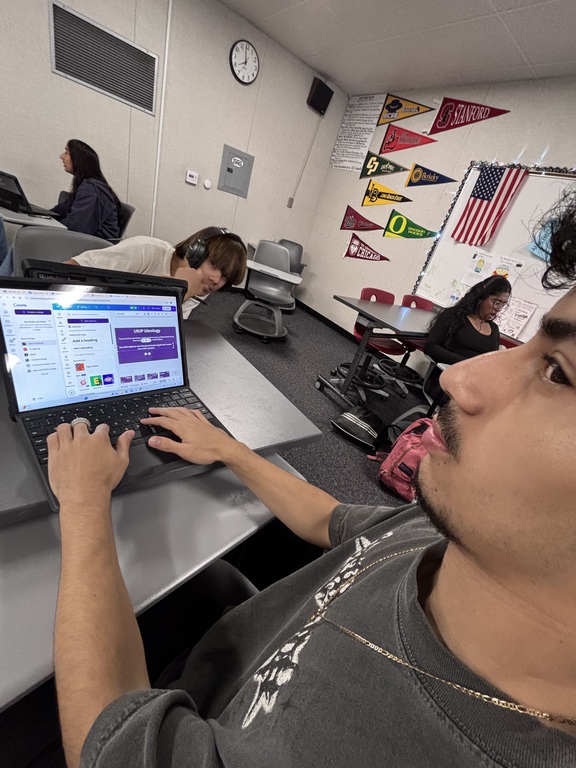 Might the gnome working on our new assignment!!!11!!