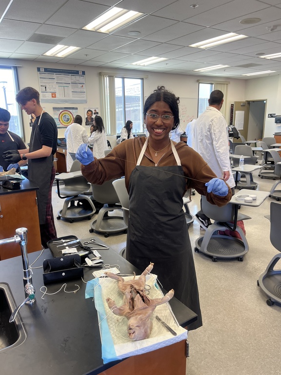 mun student dissecting 🤯