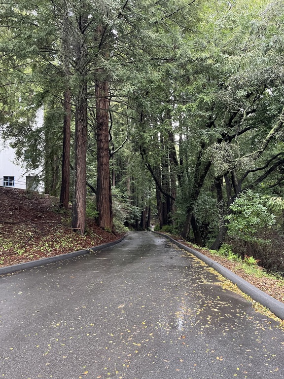 Walking around at UCSC during MUN trip