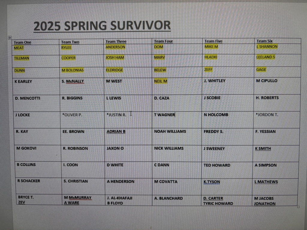 2025 Spring Survivor Teams
