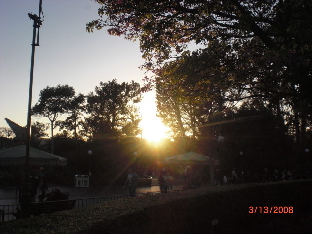 disney sunset!