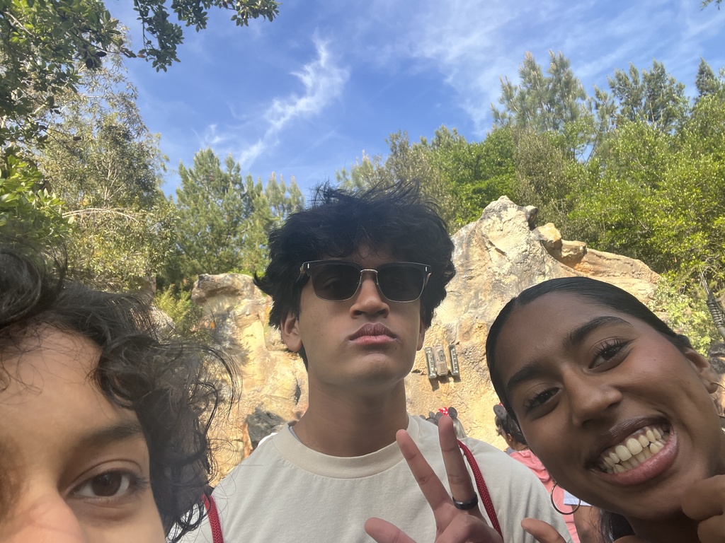 Waiting in disney line