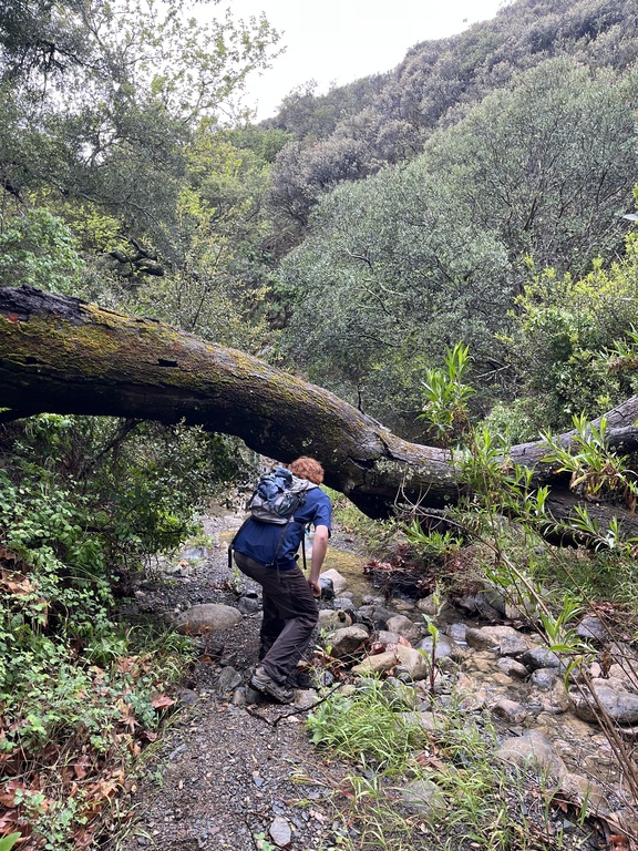 xplore hiking in the santiago canyon