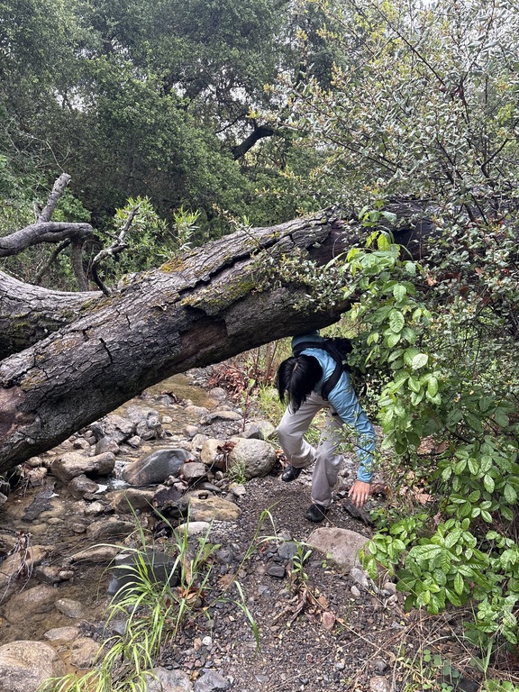 Xplore member Dylan minesaki xploreing