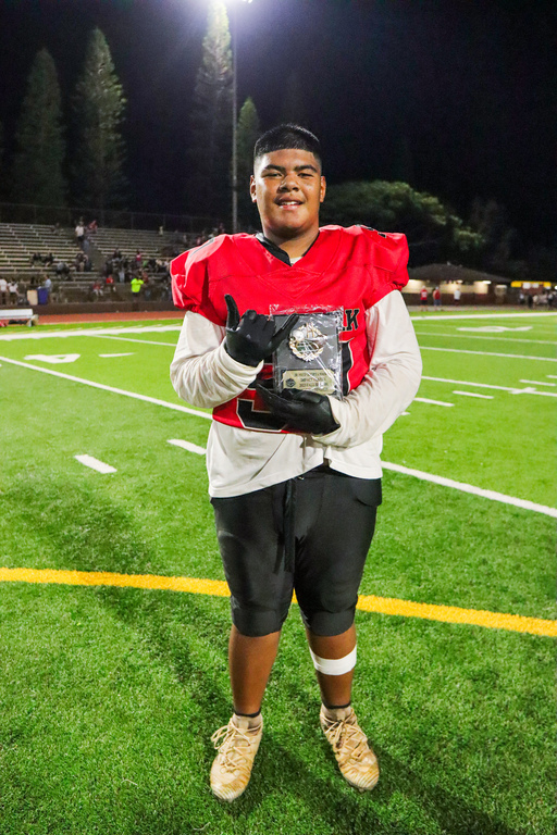 Impact player award