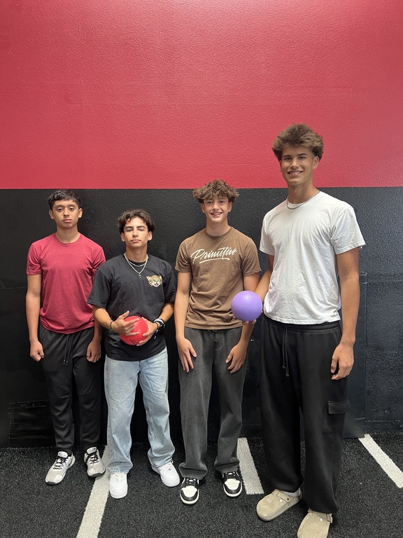 Dodgeball Champions