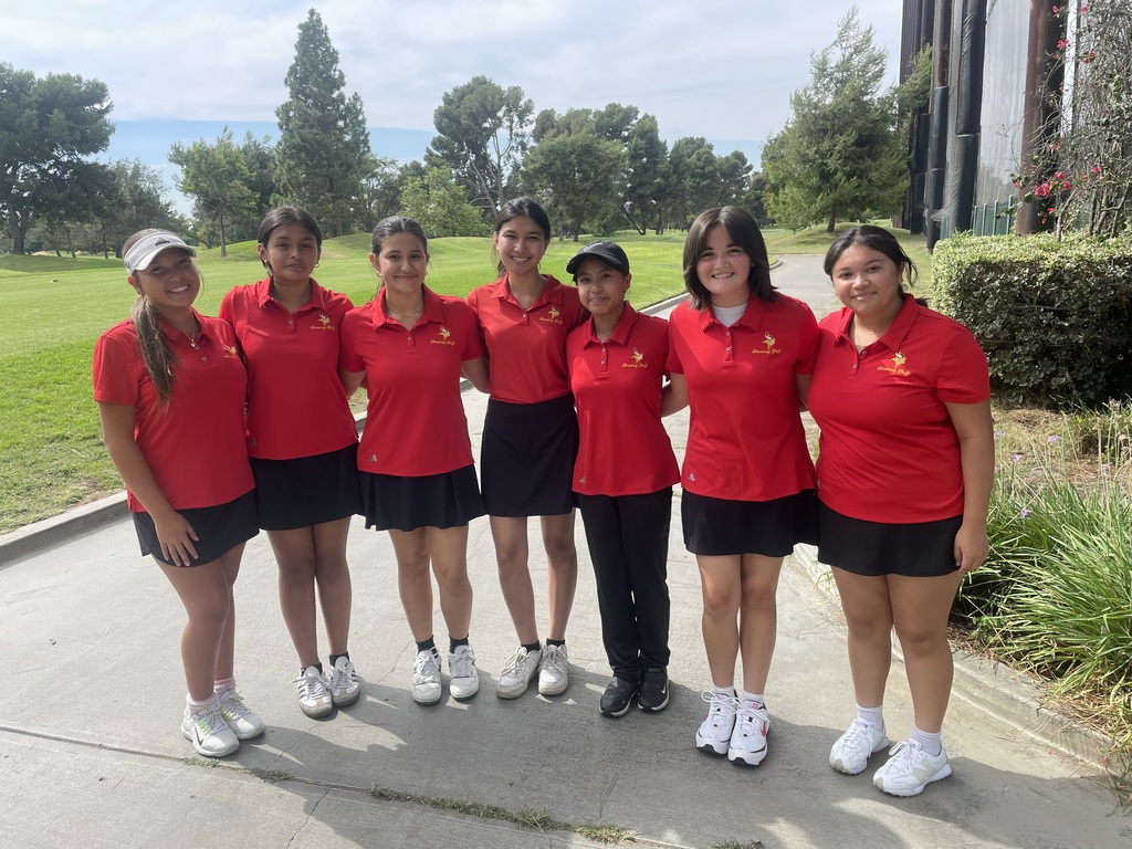 Match vs. Schurr