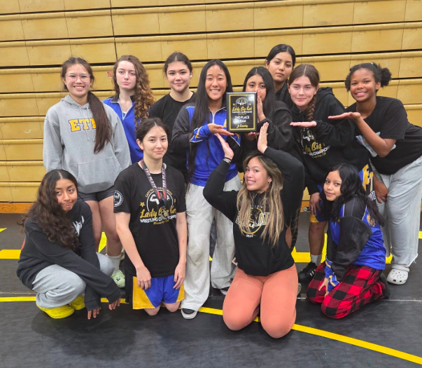 Late post, but El Toro's JV team took 3rd place at the #LadyBigKat tournament!