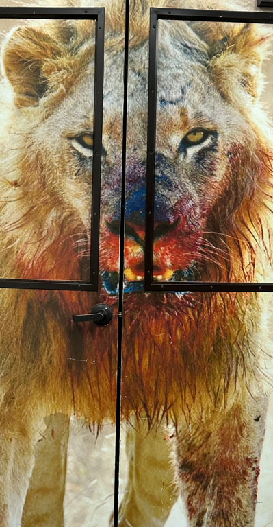 Let’s GO LIONS