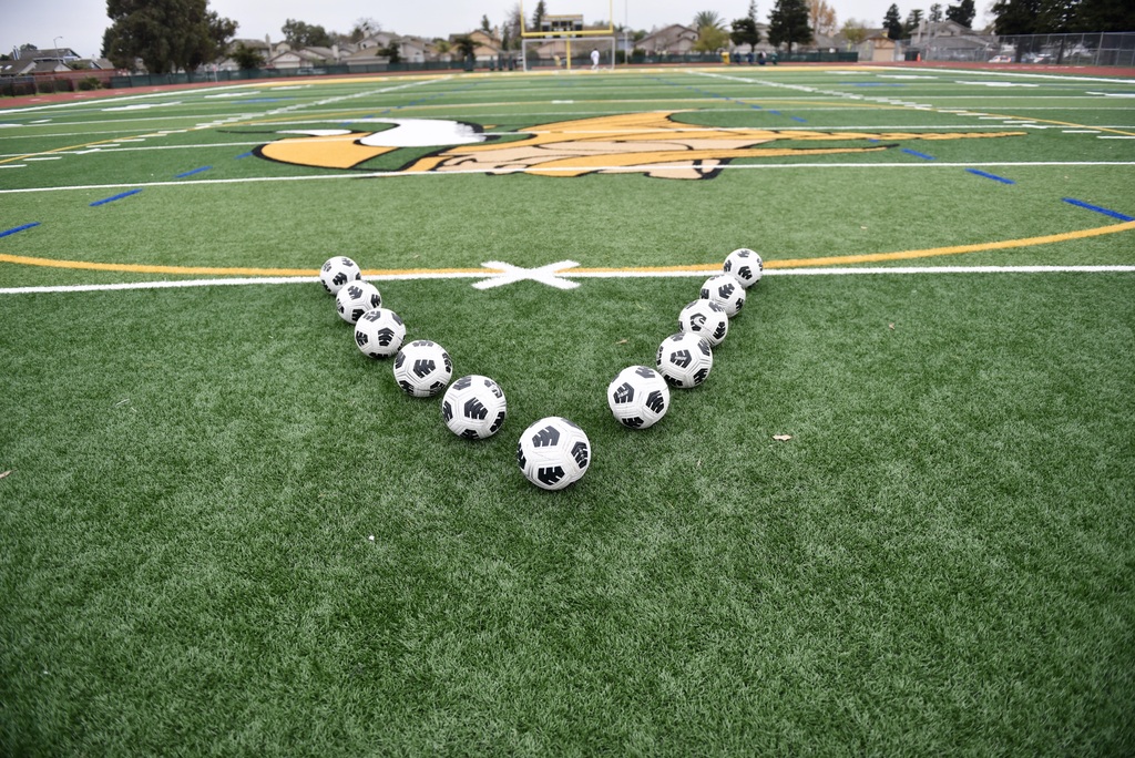 VANDEN VIKINGS SOCCER BOYS & GIRLS 2025 & 2026 SEASON