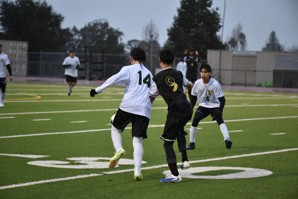 "THE TWIN " THE 2 # 14  VANDEN JV