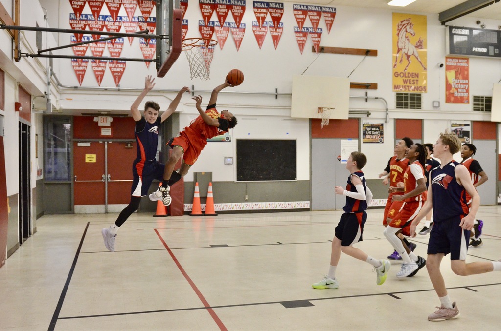 THE ARCHING OF THE GOLDEN BASKET # 12
