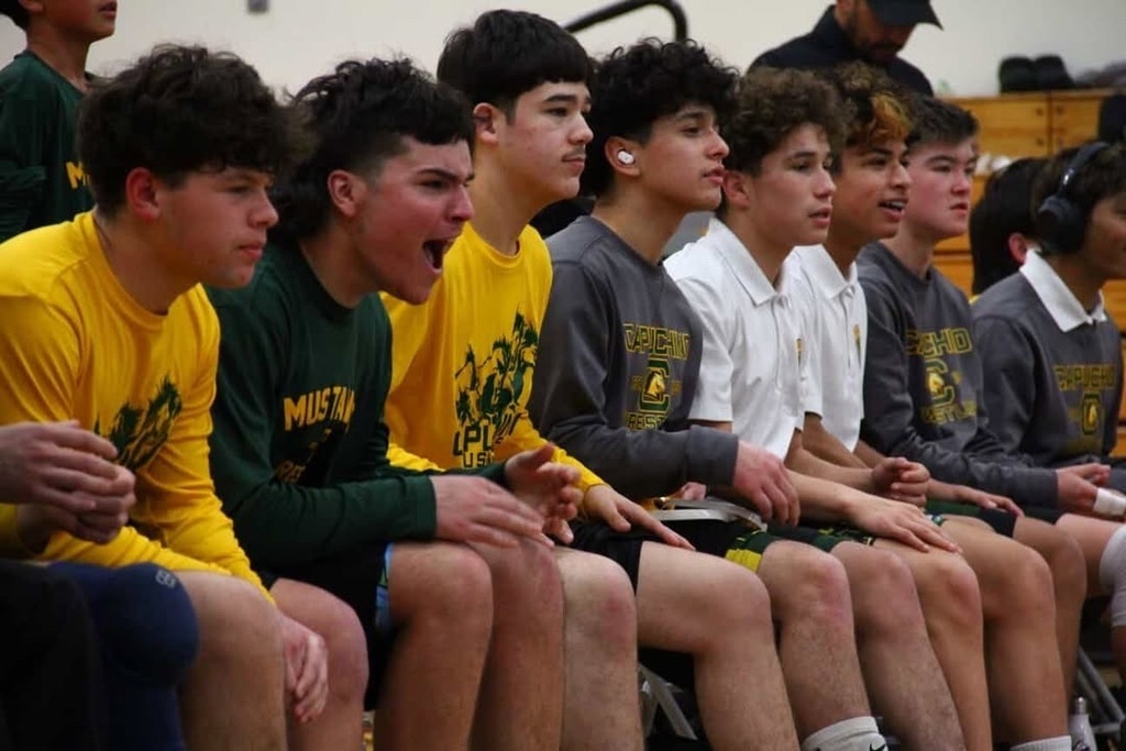 Mustangs stampeding through Aragon 72-6
