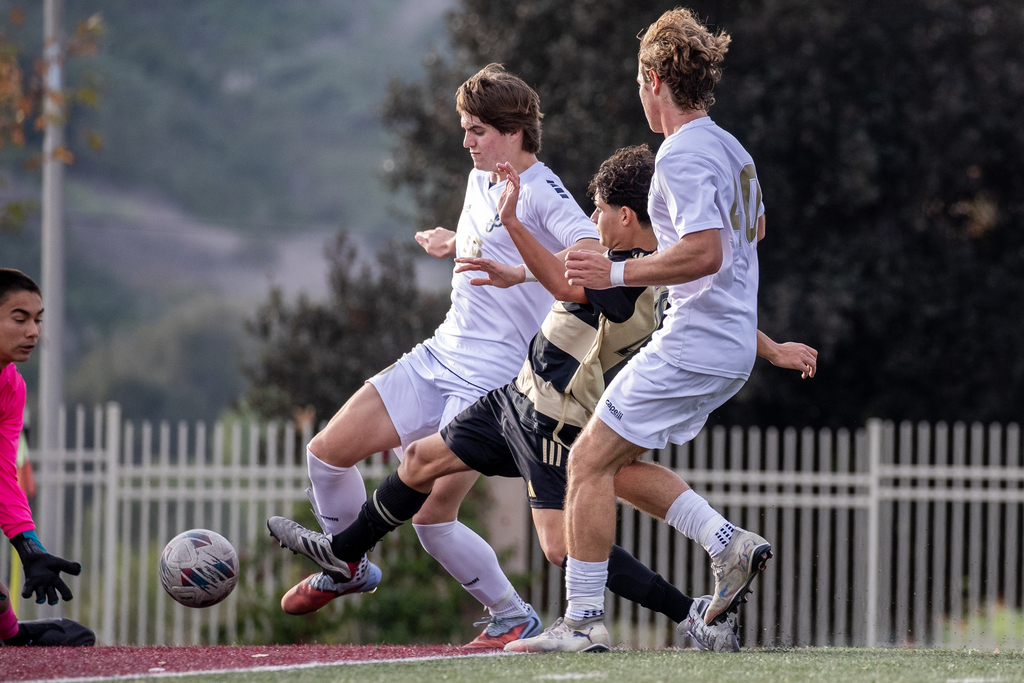 JSerra vs John Bosco Images Link - JV

https://www.dropbox.com/scl/fo/pp01x2ynzty7pzjssr6ew/AI4cQY_ceYiooJlG37UqUUw?rlkey=lrtf12z9vgry4cyphdezh3t65&st=hptkrezg&dl=0