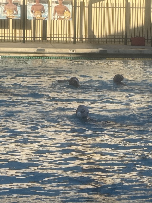 Great effort!