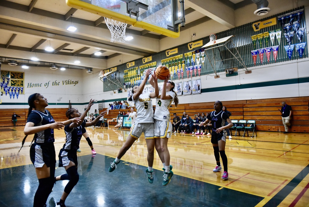 GOING FOR THE REBOUND !!!!!!!