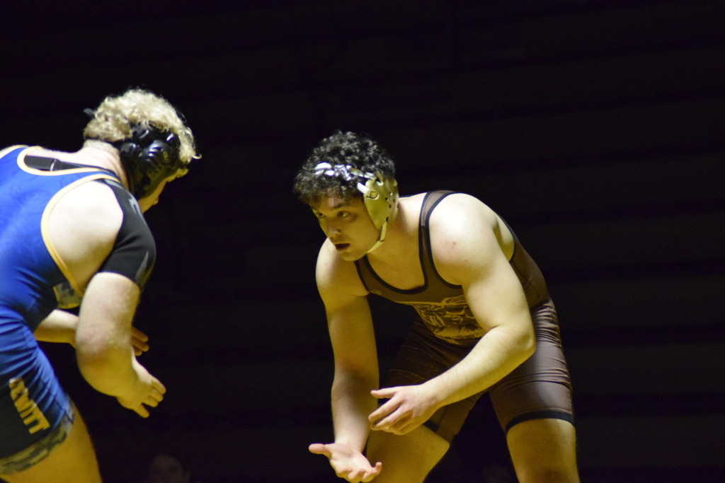Holt v DeWitt Feb 4