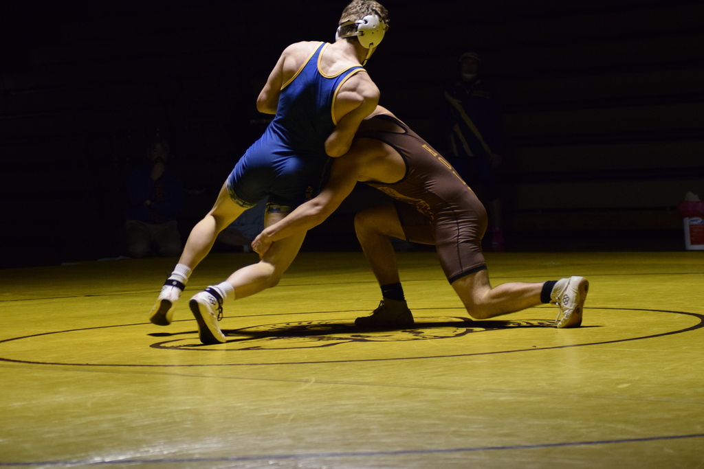 Holt v DeWitt Feb 4