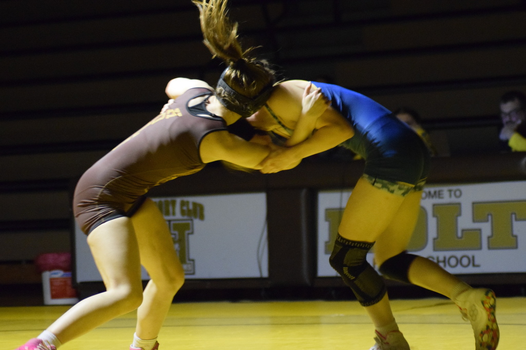 Holt v DeWitt Feb 4 2026