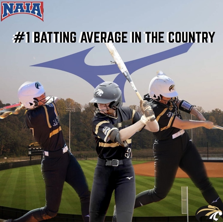 Tigers are swinging the LUMBER!