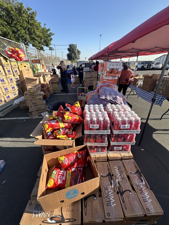 capstone project, food distribution